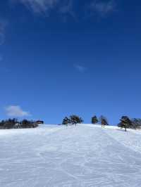 【斑尾高原🇯🇵】パウダースノーを楽しめる大型スキー場⛷
