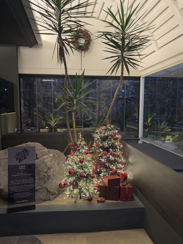 크리스마스 분위기 뿜뿜한 마포 감성 대형카페☕️🎄