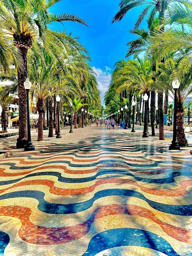 Spain 🇪🇸 