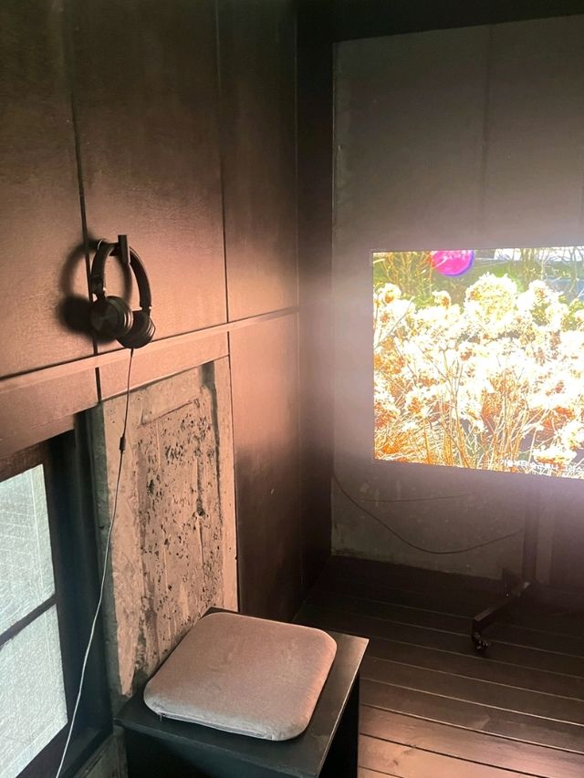 🦜제주 서귀포 카페 | 베케 정원카페🪶