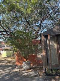 9th September Eat Drink Tree