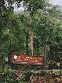 อุทยานแห่งชาติเขานัน