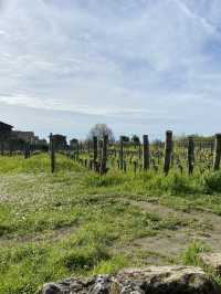 Saint-Émilion: A Timeless Wine Lover’s Paradise