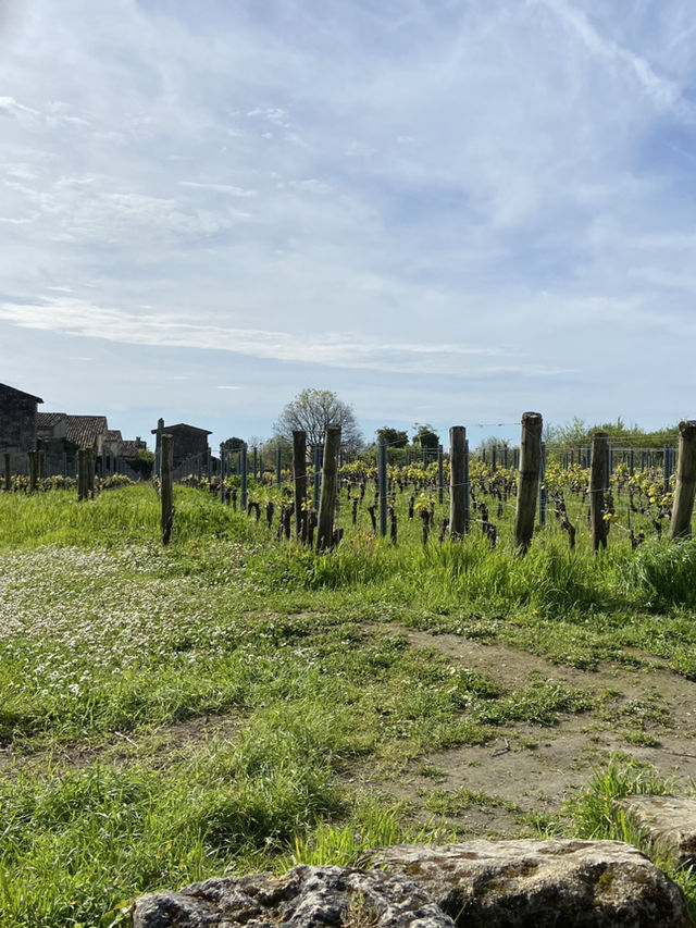 Saint-Émilion: A Timeless Wine Lover’s Paradise