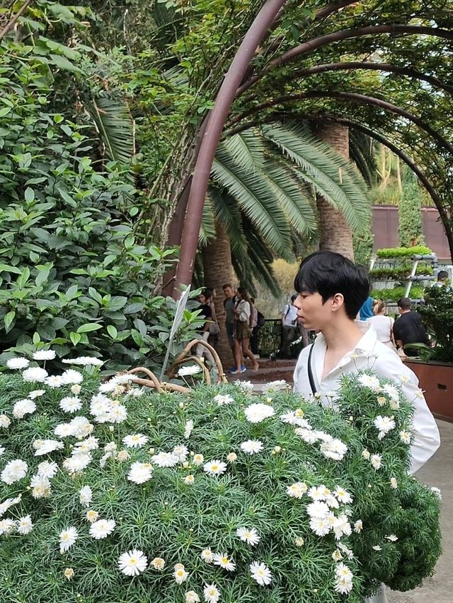 ✨Flower Dome Singapore