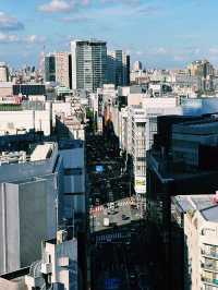 Shinjuku’s Urban Charm: Wagyu Delights & Rooftop Views