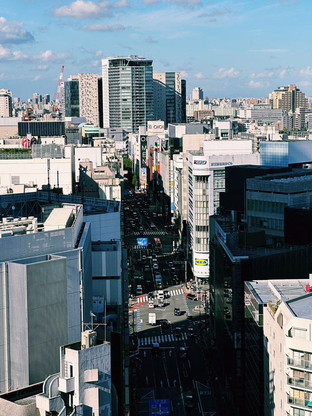 Shinjuku’s Urban Charm: Wagyu Delights & Rooftop Views