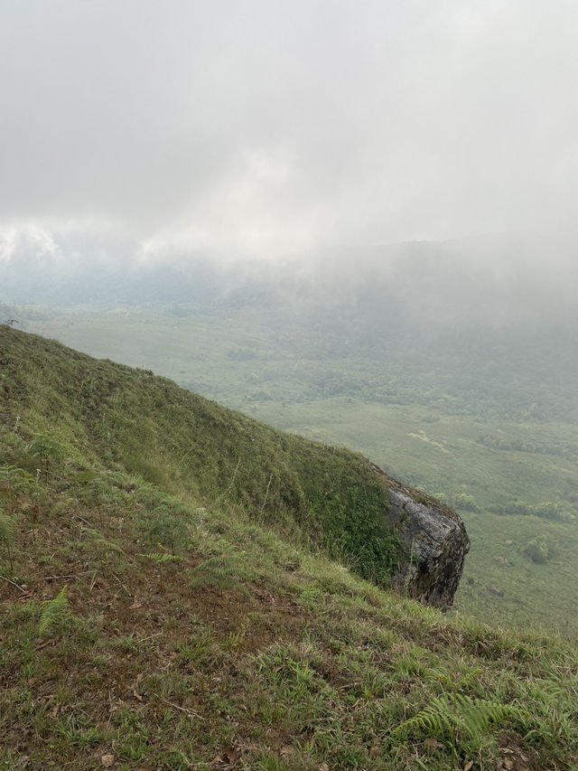 ดอยม่อนจอง | เชียงใหม่ ⛰️☀️🌳🥾