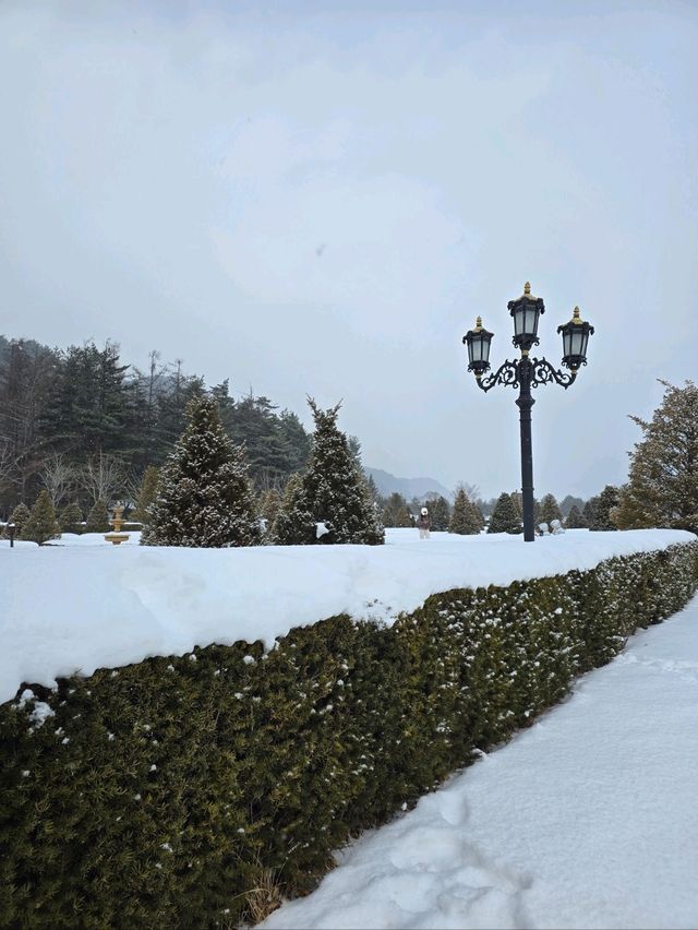 눈내린 설경이 이국적인 평창 유럽정원🤍