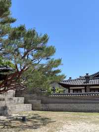 首爾｜昌德宮與景福宮 一次遊覽朝鮮王朝宮殿的歷史與哀愁