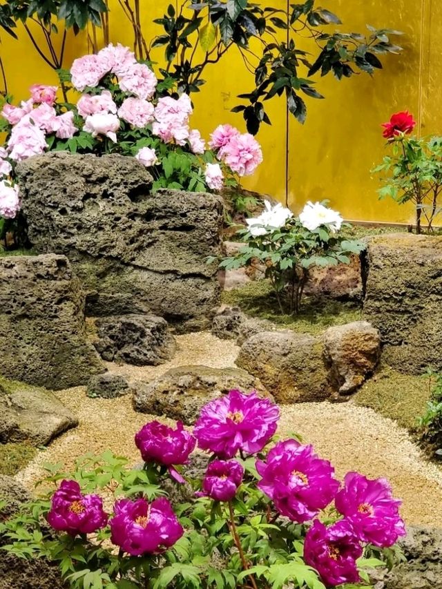 ■由志園