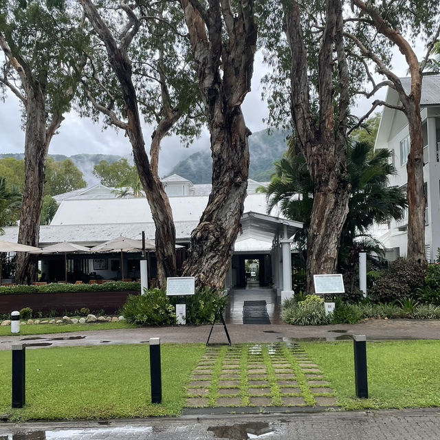 【オーストラリア】静かな楽園！癒しのビーチリゾート・パームコーブ 🏝️🌿