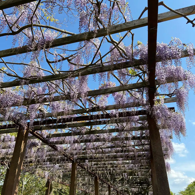 鏡山展望台