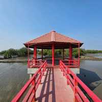 สะพานแดง จุดชมวิวปลาโลมา
