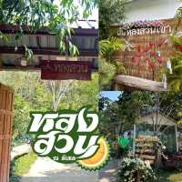 หลงสวน ณ ลับแล [คาเฟ่สวนทุเรียน] 
