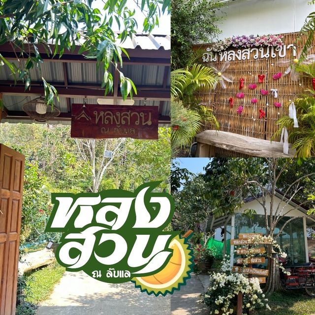 หลงสวน ณ ลับแล [คาเฟ่สวนทุเรียน] 