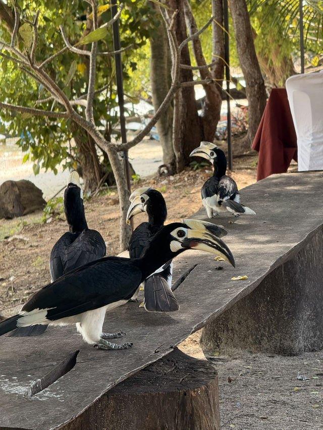 อุทยานแห่งชาติหมู่เกาะอ่างทอง🕊️🦜🏝️