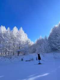 🏔️ Wanlong Ski Resort – The “Davos of China” for Skiing Enthusiasts 🎿❄️