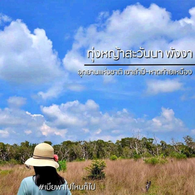 19จุดเช็คอิน พังงา