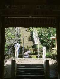 景點推薦：東京近郊・鎌倉報國寺——靜謐竹林中的禪意世界