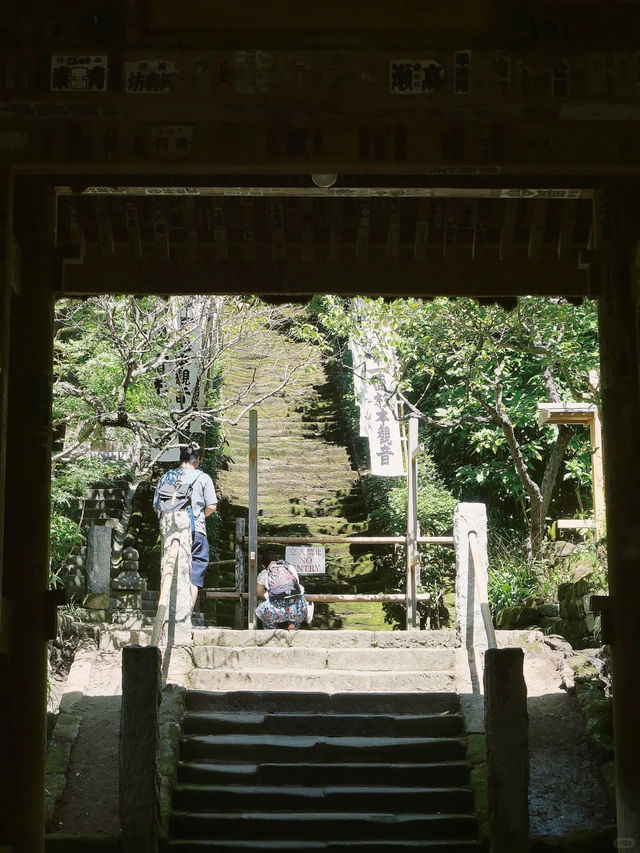 景點推薦：東京近郊・鎌倉報國寺——靜謐竹林中的禪意世界