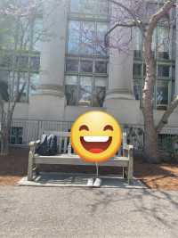 하버드대학교 구경하기