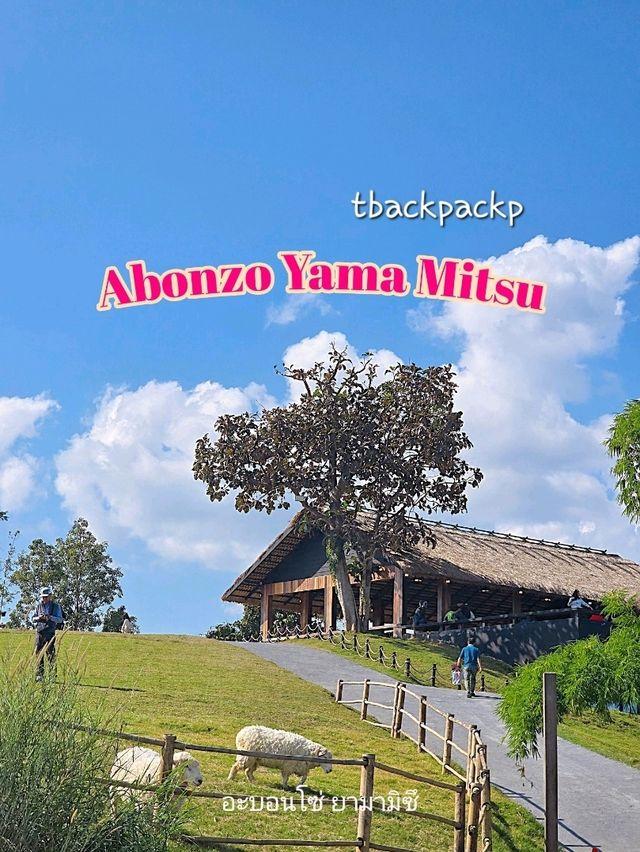 Abonzo ฟาร์มแกะสุดCute ที่เชียงราย 🐏🐑