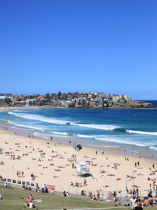 悉尼的陽光與浪潮：探索Bondi Beach的無限魅力 🏖️🌊