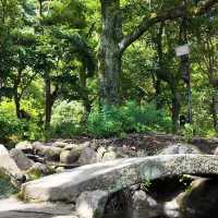 南公園-城市中的綠意