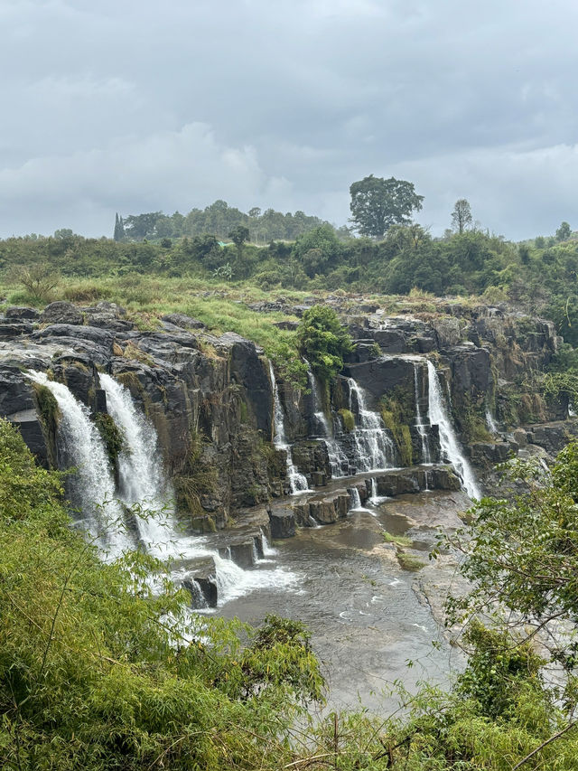 Dalat 8 Days Itinerary