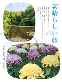 明治神宮內有乾坤👣園中園