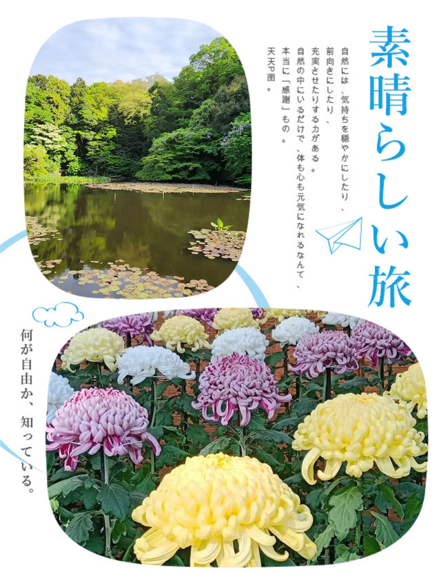 明治神宮內有乾坤👣園中園