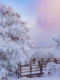 한국에 있는 진정한 겨울왕국 ❄️