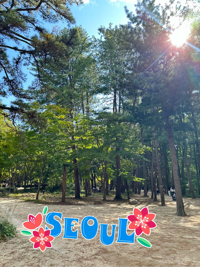 四季不同特色的南怡島