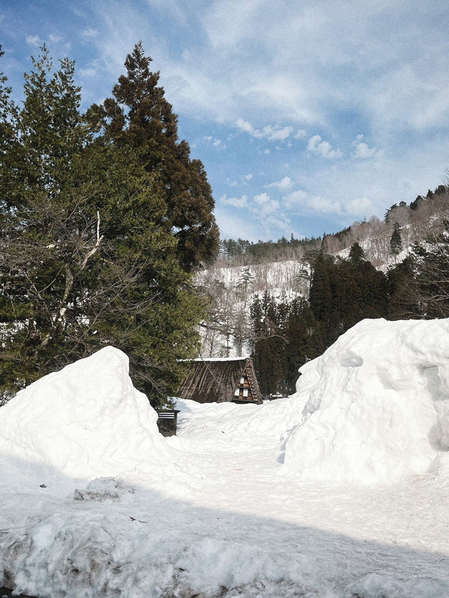 인생에서 꼭 한번 가봐야 할 겨울 여행지❄️
