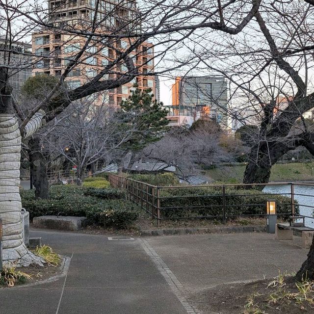 Chidorigafuchi (千鳥ヶ淵)