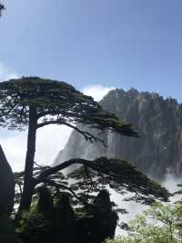 黃山 雲海仙境⛰️，人間值得！