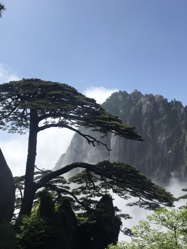 黃山 雲海仙境⛰️，人間值得！