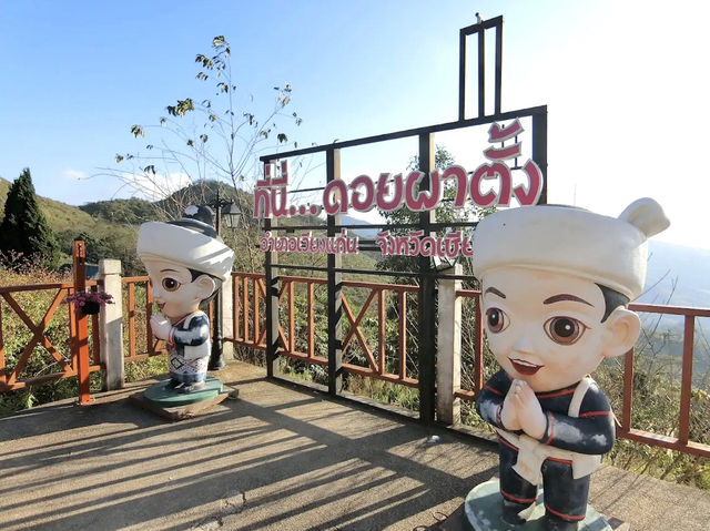 ชมซากุระ ดอยผาตั้ง