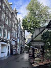A Colorful Stroll Through Bloemenmarkt, Amsterdam