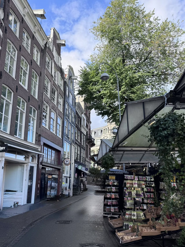 A Colorful Stroll Through Bloemenmarkt, Amsterdam