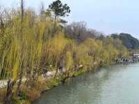 煙花三月下揚州，江南必遊瘦西湖 Slender West Lake