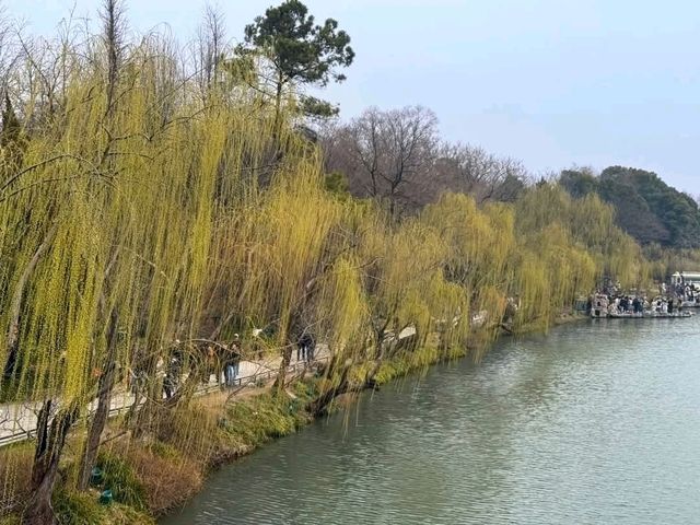 煙花三月下揚州，江南必遊瘦西湖 Slender West Lake