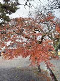 松江城山公園：歷史與自然的交織之地🏯🌸