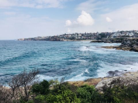 邦迪至庫吉步道：雪梨最具代表性的海岸步道