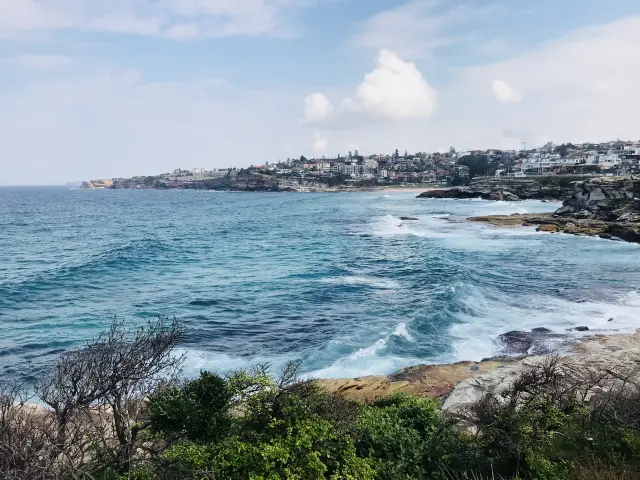 Bondi to Coogee Walk: Sydney’s Most Iconic Coastal Trail