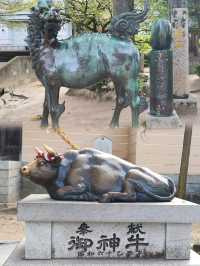 福岡太宰府站一日遊：歷史與文化的深度探索⛩️📜