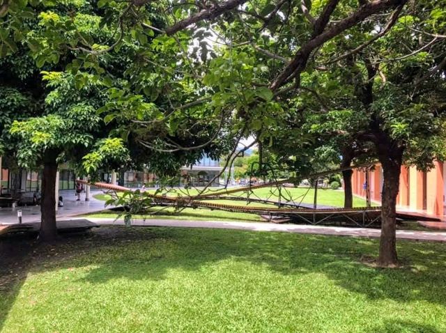 台東美術館，融合大自然與原民文化的藝文空間