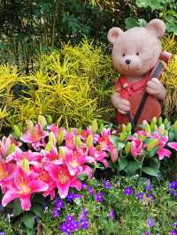漫步士林官邸公園：歷史與花海的驚艷邂逅 🌸