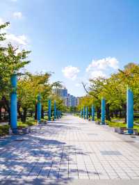부산의 수영강변과 바다가 만나는 APEC 나루공원🌿